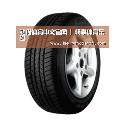 熊猫体育平台产品名称四