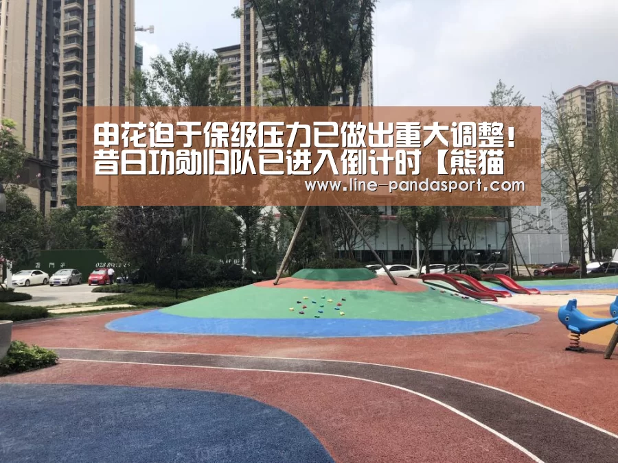申花迫于保级压力已做出重大调整!昔日功勋归队已进入倒计时【熊猫体育平台】(图1) 熊猫体育官网