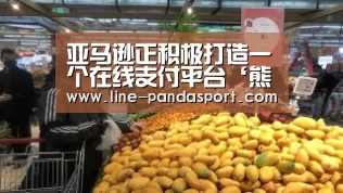 熊猫体育平台