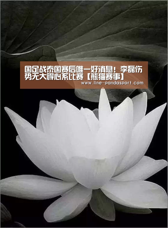 国足战泰国赛后唯一好消息!李磊伤势无大碍心系比赛【熊猫赛事】(图1) 熊猫体育平台