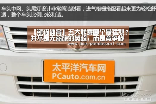 【熊猫体育】五大联赛哪个最猛烈?并不是无弱旅的英超,而是竞争惨烈德甲联赛(图3) 熊猫体育官网