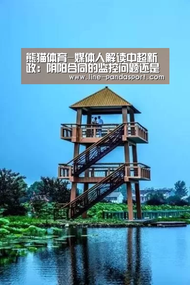熊猫体育-媒体人解读中超新政:阴阳合同的监控问题还是比较难(图2) 熊猫体育平台