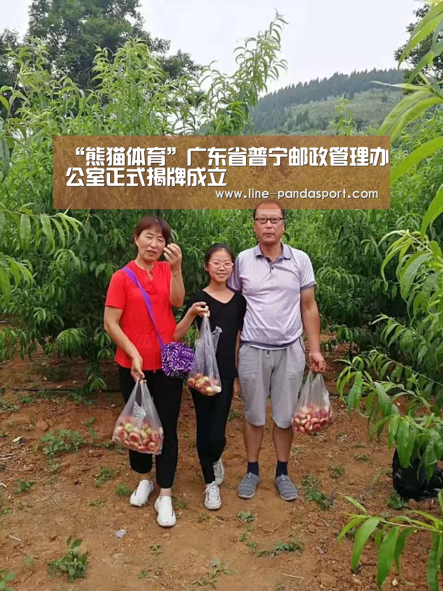 “熊猫体育”广东省普宁邮政管理办公室正式揭牌成立(图1) 熊猫体育平台