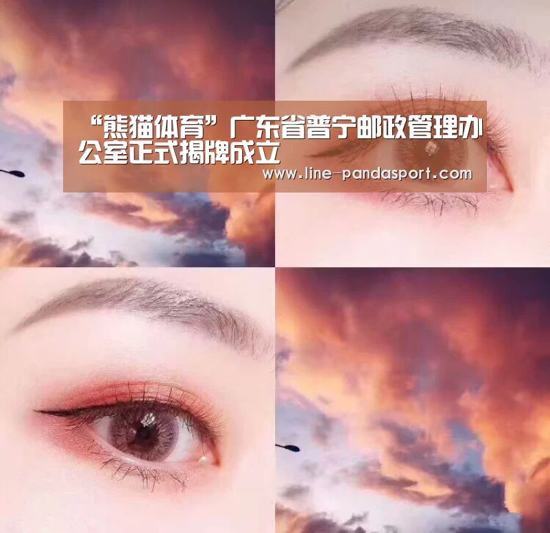 “熊猫体育”广东省普宁邮政管理办公室正式揭牌成立(图3) 熊猫体育