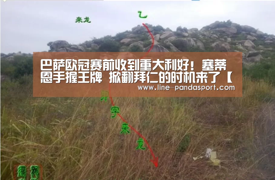 熊猫体育平台