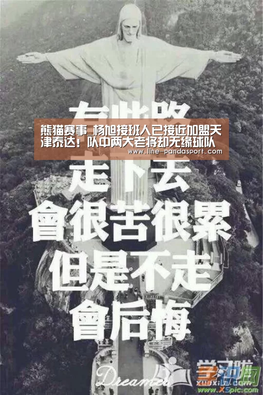 熊猫体育