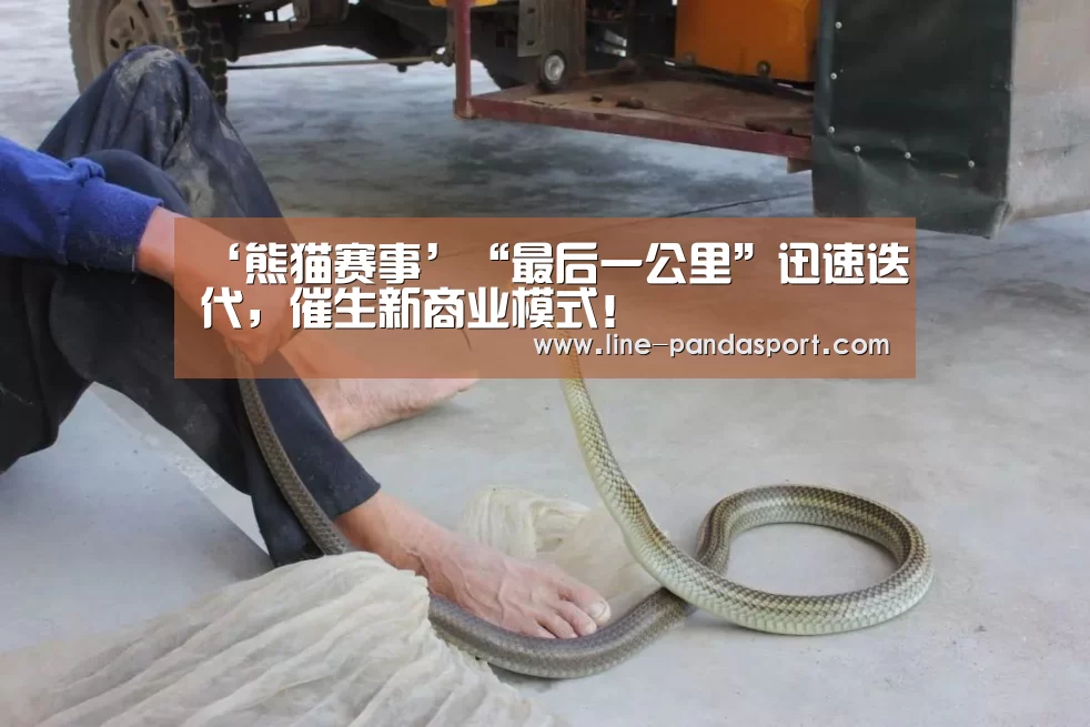 ‘熊猫赛事’“最后一公里”迅速迭代,催生新商业模式!(图2) 熊猫体育官网
